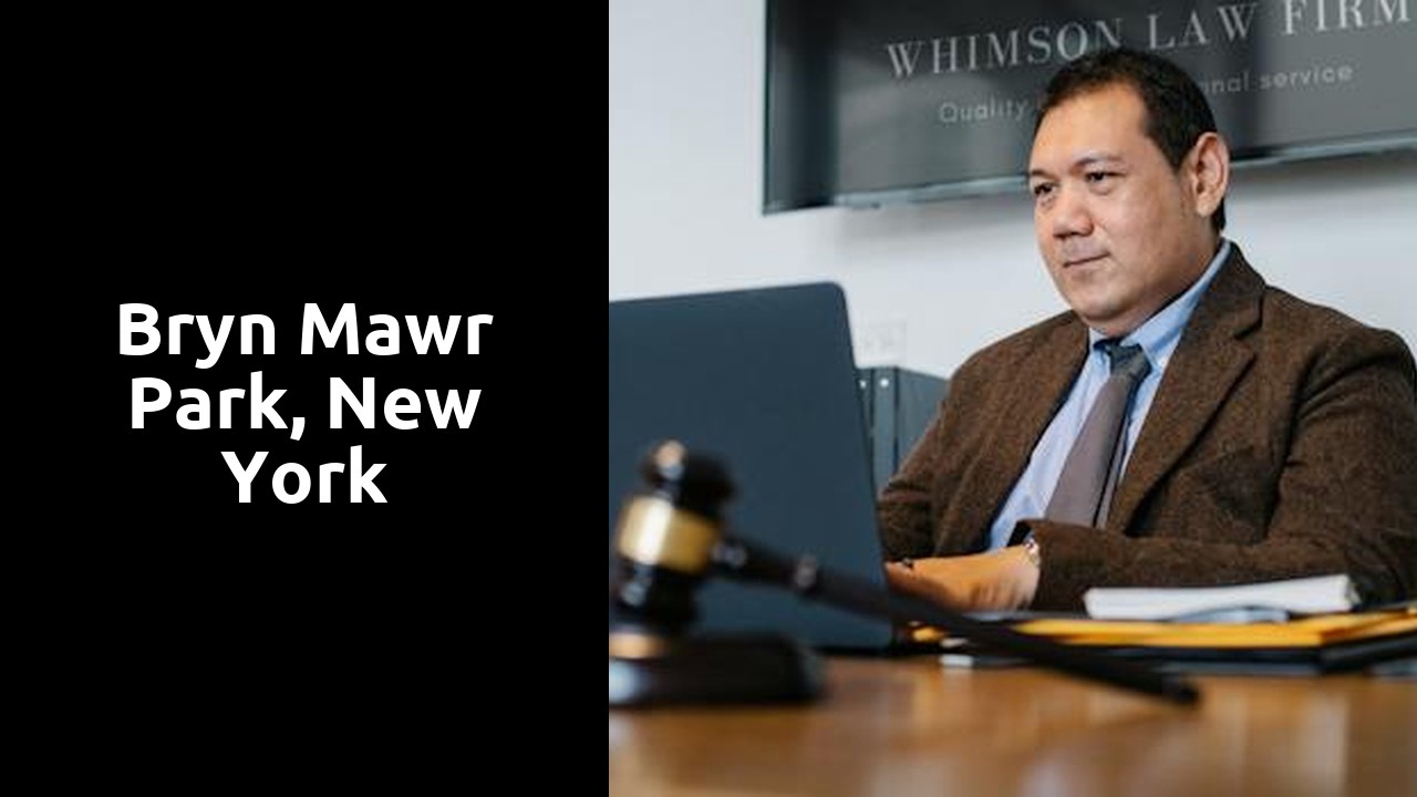 bryn mawr park, New York